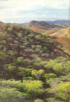 saroche1.jpg (1244105 bytes)